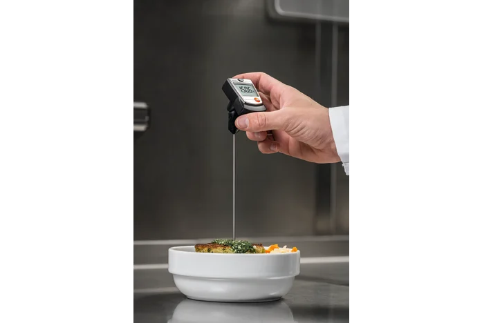 testo 905-T1 - Penetration probe