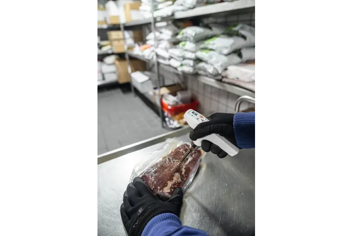 testo 105 with frozen food measurement tip - testo 105 with frozen food measurement tip