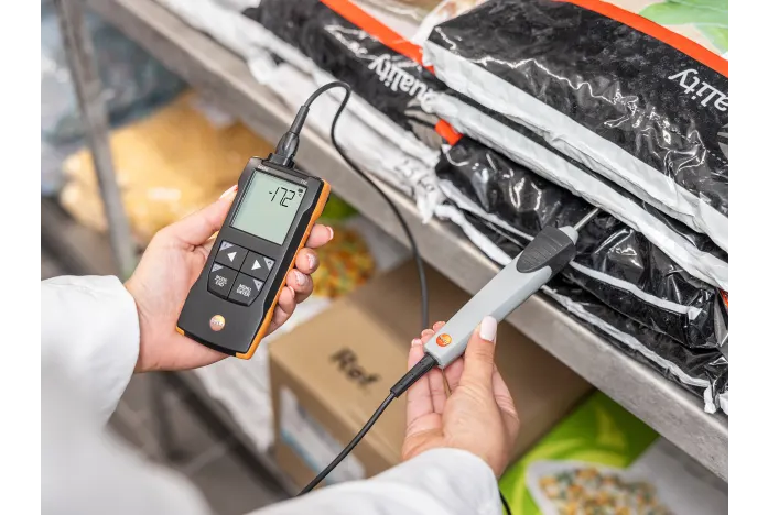 testo 110 - NTC and Pt100 temperature measuring instrument with App connection