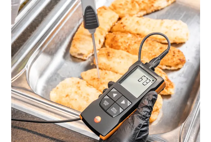testo 110 - NTC and Pt100 temperature measuring instrument with App connection